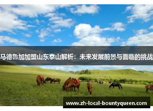 马德鲁加加盟山东泰山解析：未来发展前景与面临的挑战